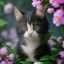 一起c用户霓虹猫猫的头像，音乐爱好者